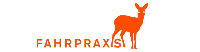 FAHRPRAXIS